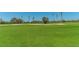 Beautiful golf course view with lush green grass and mature trees at 3521 Fair Oaks Ln, Longboat Key, FL 34228