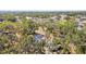 Aerial view of residential area featuring mature trees and serene surroundings, creating a peaceful neighborhood setting at 3619 Elm St, Ellenton, FL 34222