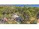 Aerial view captures the property's location among mature trees and the proximity to the water at 3619 Elm St, Ellenton, FL 34222