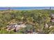 Aerial shot showcasing the property's setting, amidst mature trees, landscaping, and distant water views at 3619 Elm St, Ellenton, FL 34222