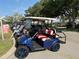 A row of well-maintained golf carts, perfect for enjoying the community's amenities at 5330 Hyland Hills Ave # 2314, Sarasota, FL 34241