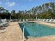 Sparkling outdoor pool area with comfortable lounge chairs, lush landscaping, and clear blue water at 5330 Hyland Hills Ave # 2314, Sarasota, FL 34241