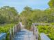 Wooden boardwalk winds through lush foliage, providing a scenic walking path at 5430 Eagles Point Cir # 101, Sarasota, FL 34231