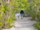 Crushed shell walking trail is surrounded by lush foliage as a person walks along with their dog at 5430 Eagles Point Cir # 101, Sarasota, FL 34231
