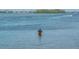 A waterfront view with a Personal in the water, showcasing coastal living and recreational opportunities at 5430 Eagles Point Cir # 101, Sarasota, FL 34231