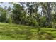 Lush green backyard with mature trees and landscaping, offering privacy and natural beauty at 6017 Maidenstone Way, Palmetto, FL 34221