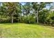 Expansive backyard with lush green grass, mature trees, and natural surroundings at 8209 72Nd E St, University Park, FL 34201