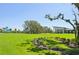 Expansive community lawn with lush landscaping, walking trails, and recreational area at 9970 Cross River Trl, Parrish, FL 34219