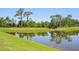 Scenic view of pond, lush green trees, and landscape at 9970 Cross River Trl, Parrish, FL 34219
