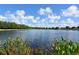 Serene lake view with lush greenery, providing a tranquil escape within the community at 224 Dahlia Ct, Bradenton, FL 34212