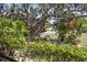 Tranquil backyard with patio seating area nestled amongst mature trees and verdant landscaping, creating a peaceful retreat at 4712 Charles Partin Dr, Parrish, FL 34219