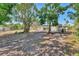 Expansive backyard with mature trees surrounding a screened-in pool area at 4907 4Th Avenue Nw Cir, Bradenton, FL 34209