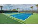 Community pickleball courts, a great outdoor activity for residents and their guests at 5301 Bartolomeo St, Sarasota, FL 34238