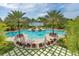 Beautiful swimming pool with palm trees, lounge chairs, and lake views in a resort-style setting at 8016 Bounty Ln, Bradenton, FL 34202