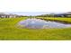 Picturesque view of a serene pond surrounded by lush green grass, showcasing the community's natural beauty at 16226 Hidden Oak Loop, Bradenton, FL 34211