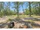 Expansive backyard featuring mature trees and lush greenery, perfect for outdoor activities and enjoying nature's tranquility at 18026 Nutcracker Rd, Weeki Wachee, FL 34614