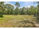 Large, open backyard space perfect for outdoor activities and gatherings, surrounded by mature trees and fencing at 18026 Nutcracker Rd, Weeki Wachee, FL 34614