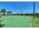 Outdoor basketball court with well-maintained green surface and net with a fenced perimeter on a clear day at 212 River Enclave Ct, Bradenton, FL 34212