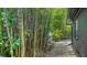 A private yard highlighted by lush bamboo, adding natural beauty and seclusion to the property at 4857 Stevens Dr, Sarasota, FL 34234