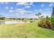 Landscaped backyard featuring a pond view with a variety of plants and greenery at 5117 Marina Basin Ct, Bradenton, FL 34211