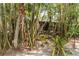 Lush backyard featuring a bamboo garden and a peek at the screened porch at 642 N Jefferson Ave # 13, Sarasota, FL 34237