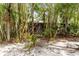 Lush backyard featuring a bamboo garden and a peek at the screened porch at 642 N Jefferson Ave # 13, Sarasota, FL 34237