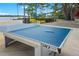 A table tennis set is on a deck near the lake in a recreational area with palm trees and bushes at 13169 Steinhatchee Loop, Venice, FL 34293