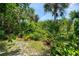 Lush backyard featuring mature trees, tropical landscaping, and a sandy ground cover at 1715 Fossil Dr, Englewood, FL 34223