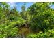 A tranquil pond nestled amidst lush greenery, creating a serene backyard retreat at 1715 Fossil Dr, Englewood, FL 34223