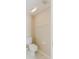 Neutral bathroom with a standard toilet, light walls, and white trim at 20316 Natures Corner Dr, Tampa, FL 33647