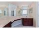 Bathroom with a long vanity with double mirrors, lighting, and dark wood cabinets at 20316 Natures Corner Dr, Tampa, FL 33647