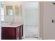 Bright bathroom featuring a single sink vanity and stand-up shower at 20316 Natures Corner Dr, Tampa, FL 33647