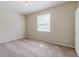 Neutral bedroom with carpet, a window with blinds, and a ceiling light at 20316 Natures Corner Dr, Tampa, FL 33647