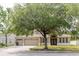 Beautiful home with a large tree in the front yard and a spacious three-car garage at 20316 Natures Corner Dr, Tampa, FL 33647