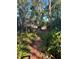 Lush backyard with a hot tub, brick pathway, and mature trees, creating a peaceful and private oasis at 2181 Pine Gardens Trl, Sarasota, FL 34231