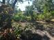 Landscaped yard with lush greenery and mature trees, offering privacy and a serene outdoor living space at 2181 Pine Gardens Trl, Sarasota, FL 34231