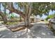 Spacious driveway shaded by a mature tree, leading to a well-maintained home and expansive yard at 2411 5Th Avenue E Dr, Palmetto, FL 34221