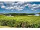 Beautiful view of the river with green vegetation and a wooden dock at 4102 Lakewood Ave, Bradenton, FL 34208