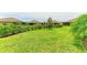 Beautifully manicured backyard with lush green lawn and neatly trimmed hedges creating a private outdoor space at 4416 Amalfi Ave, Sarasota, FL 34243