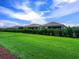 Beautifully landscaped backyard with green lawn, shrubbery, and privacy hedge at 4927 Carova Way, Bradenton, FL 34211