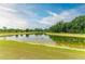 Beautiful community pond with ducks swimming, surrounded by lush greenery, creating a peaceful view at 6094 Amberly Dr, Bradenton, FL 34208