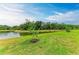 Scenic pond view surrounded by lush greenery, enhanced by a young sapling at 6094 Amberly Dr, Bradenton, FL 34208