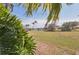 Relaxing backyard view with lush greenery, tall palm trees, and tranquil pond, partially obscured by tropical foliage at 6504 Virginia Xing, University Park, FL 34201