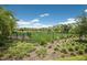 Dog park, featuring fenced-in play area with plenty of room for your dog to roam at 13848 American Prairie Pl, Lakewood Ranch, FL 34211