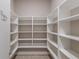 Walk-in pantry with ample shelving for food storage and organization at 13848 American Prairie Pl, Lakewood Ranch, FL 34211