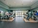 Well-equipped gym featuring a variety of treadmills and elliptical machines with views of the community at 14325 Stirling Dr, Lakewood Ranch, FL 34202