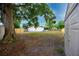 Large backyard with mature trees and privacy fence at 15718 Squirrel Tree Pl, Tampa, FL 33624