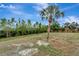 Lush backyard with mature trees and a privacy fence, creating a serene outdoor oasis for enjoyment and relaxation at 168 Wading Bird Dr, Venice, FL 34292
