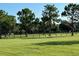 Pasture with verdant grass, mature trees, and fencing, creating a serene and picturesque countryside setting at 22803 67Th E Ave, Bradenton, FL 34211