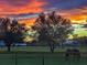 Scenic pasture view with a horse grazing in the foreground and a beautiful sunset illuminating the sky at 22803 67Th E Ave, Bradenton, FL 34211